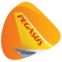 Pegasus Airlines logo